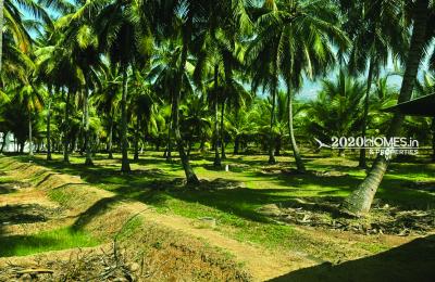 Pollachi AngalaKurichi Form